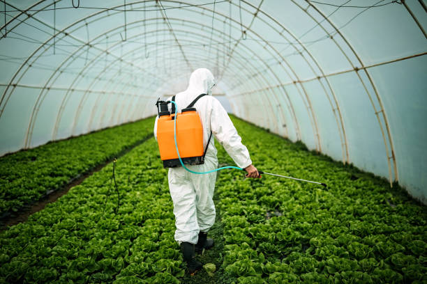 Best Best Pest Control Companies  in Payson, AZ