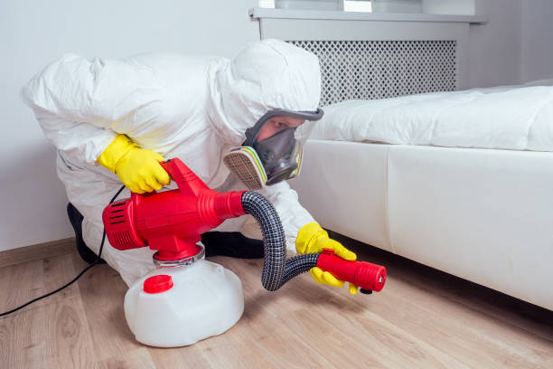 Best Affordable Pest Control Services  in Payson, AZ