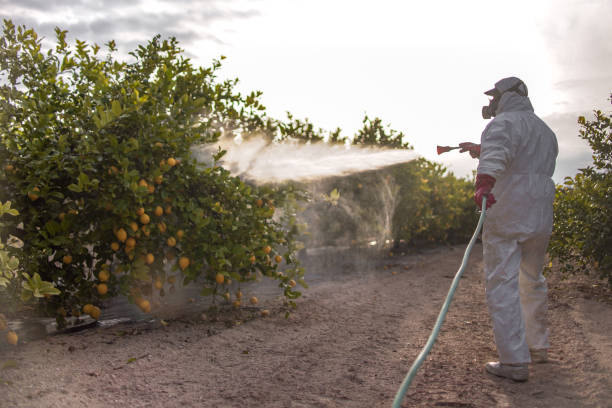 Best Residential Pest Control  in Payson, AZ