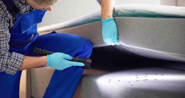 Best Commercial Pest Control Services  in Payson, AZ